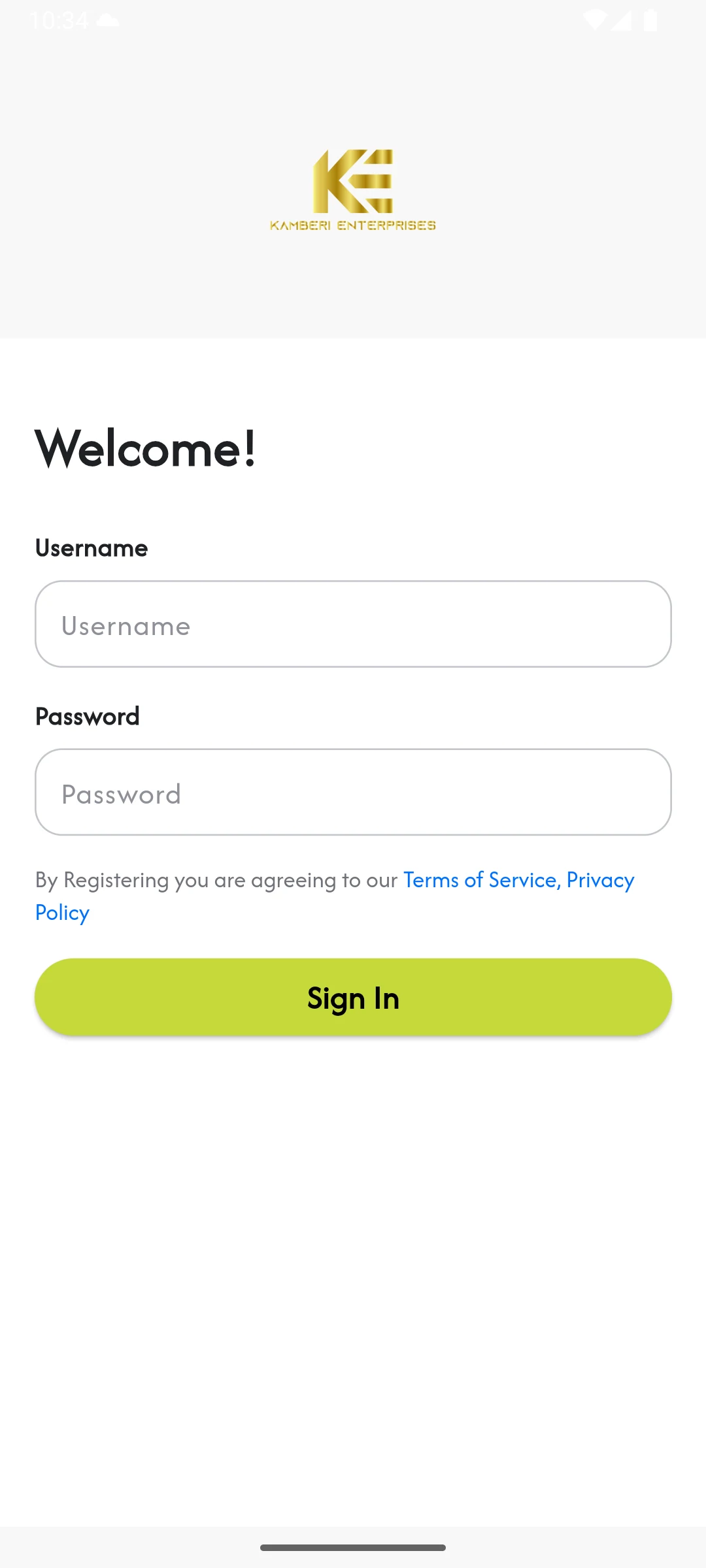 Bes Kamberi Enterprises screenshot